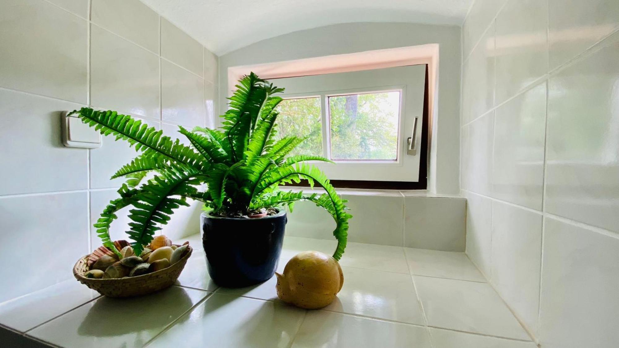 Ferienwohnung Villa Am Haussee Фельдберг Екстер'єр фото